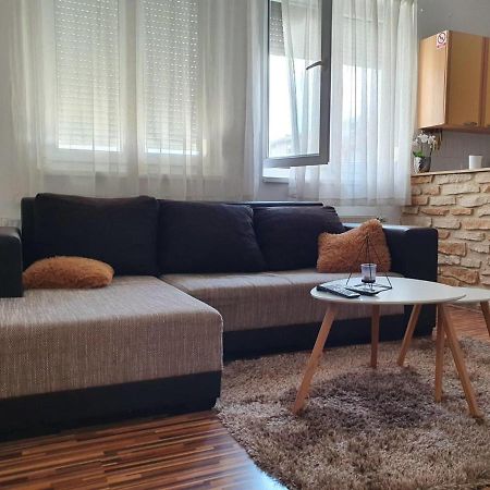 Apartment Laura & Lucija オシエク エクステリア 写真