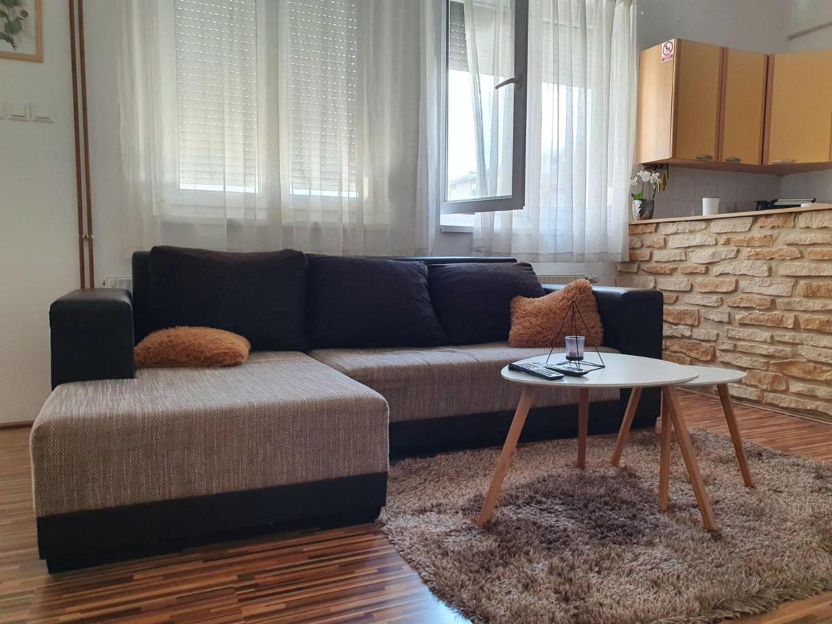 Apartment Laura & Lucija オシエク エクステリア 写真